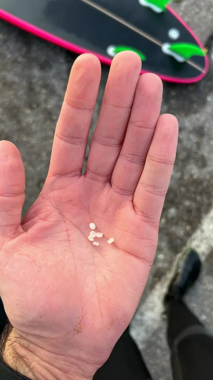 pellet muskiz