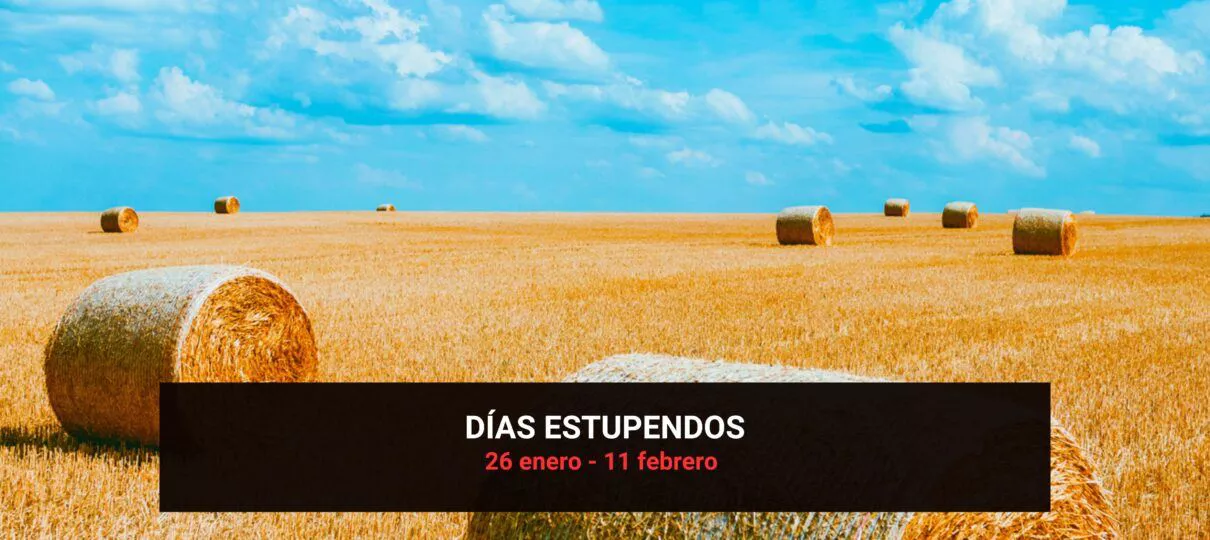 Verano, intensidad y frustración