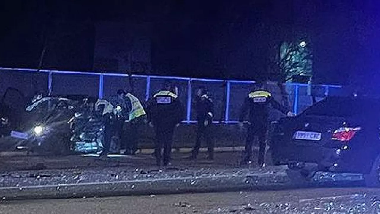 20240113212309_jundiz-istripua_