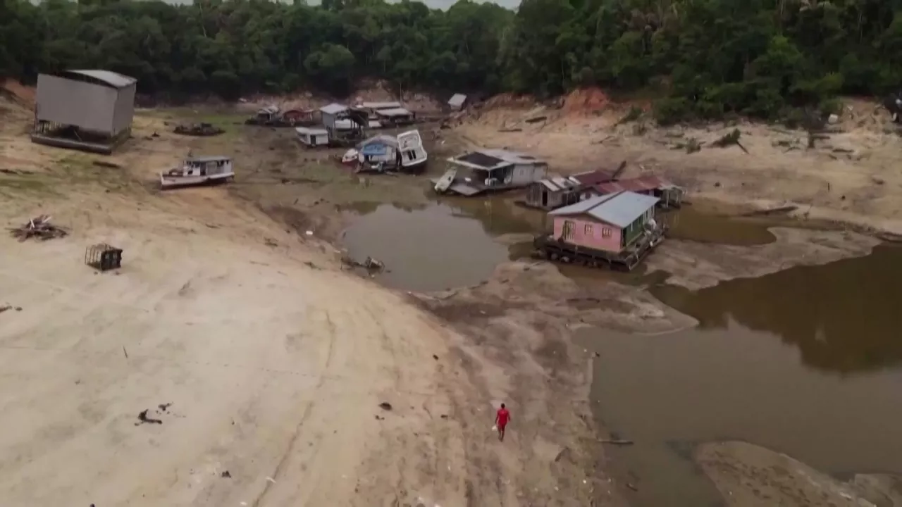 20240125094238_amazonas-lehortea_