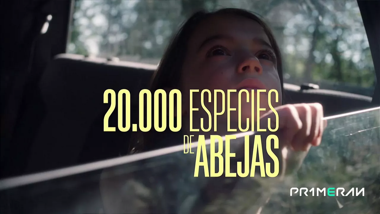 20000 especies de abejas PRIMERAN