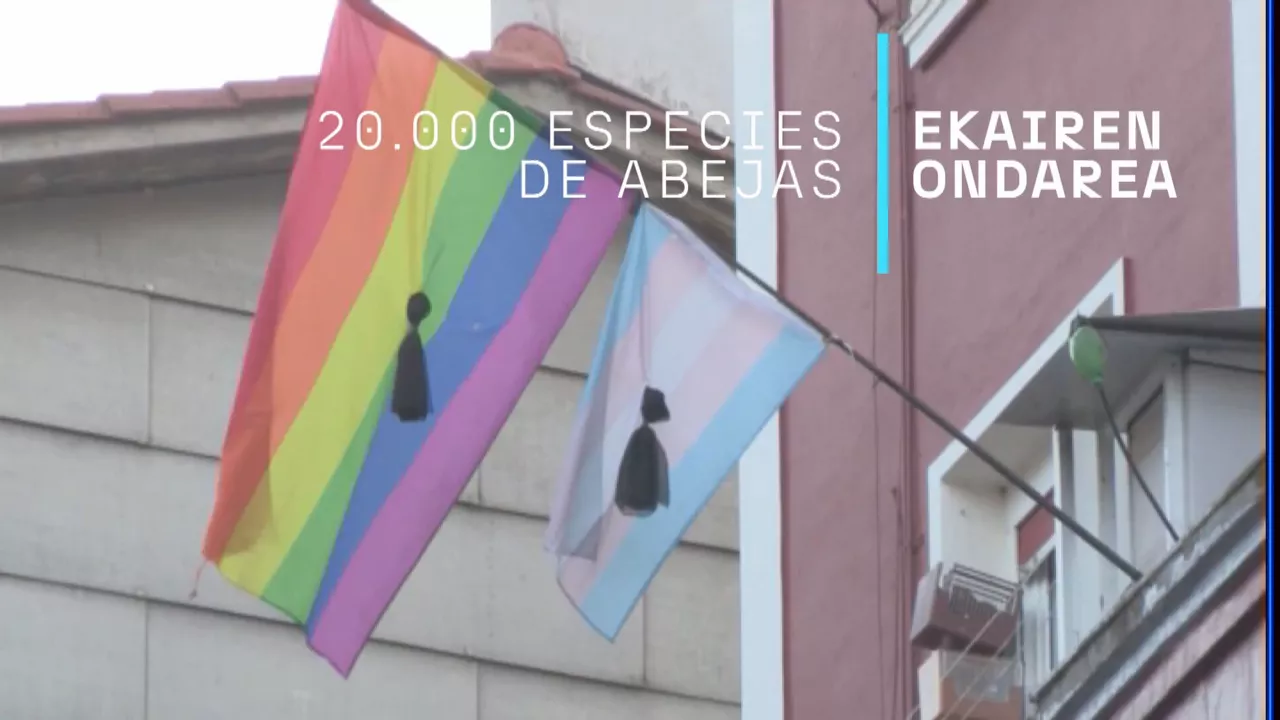 20240201182154_ekai_