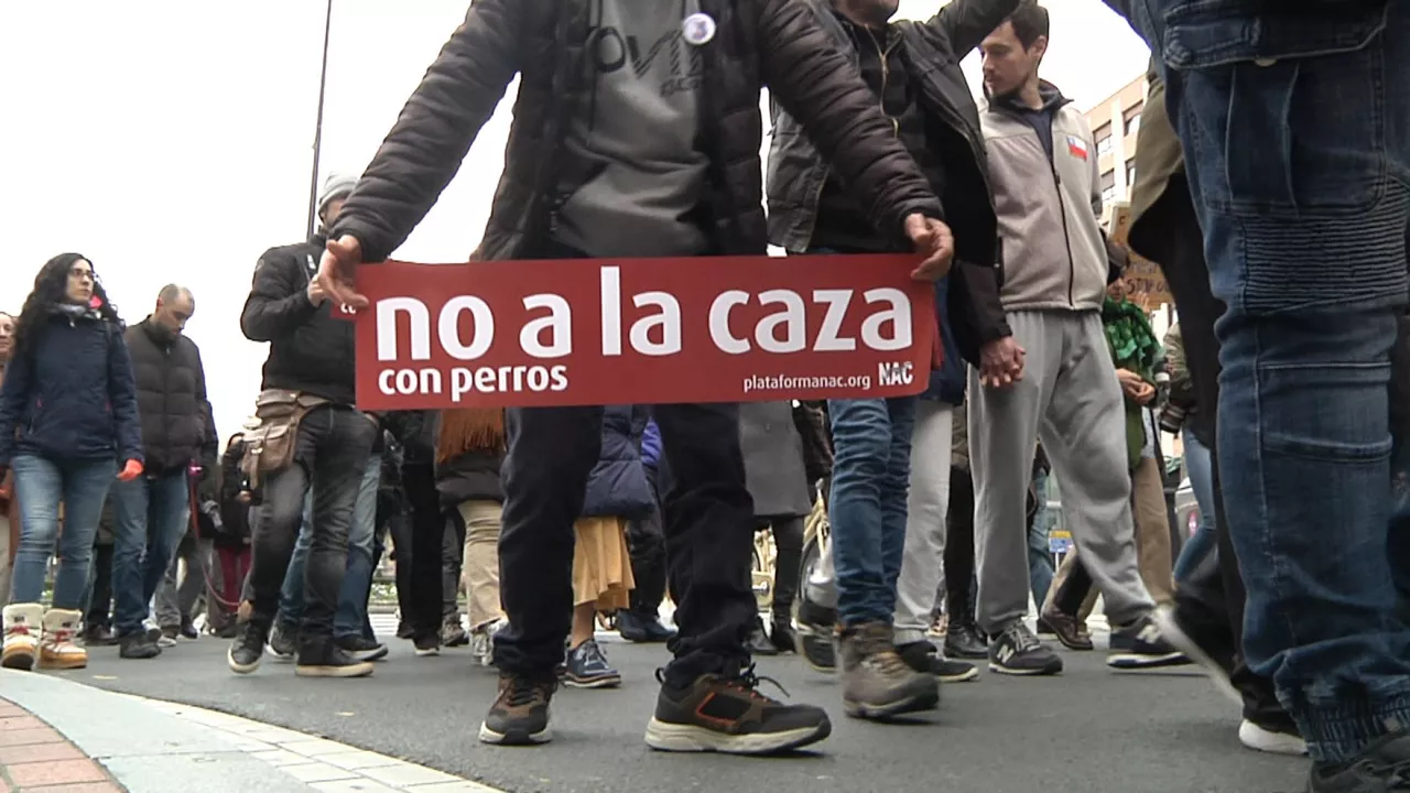 20240204214232_bilbao-perros-caza-manifestacion_