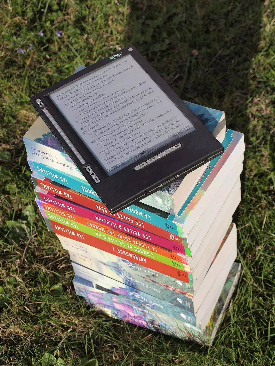libros liburuak lectura irakurketa