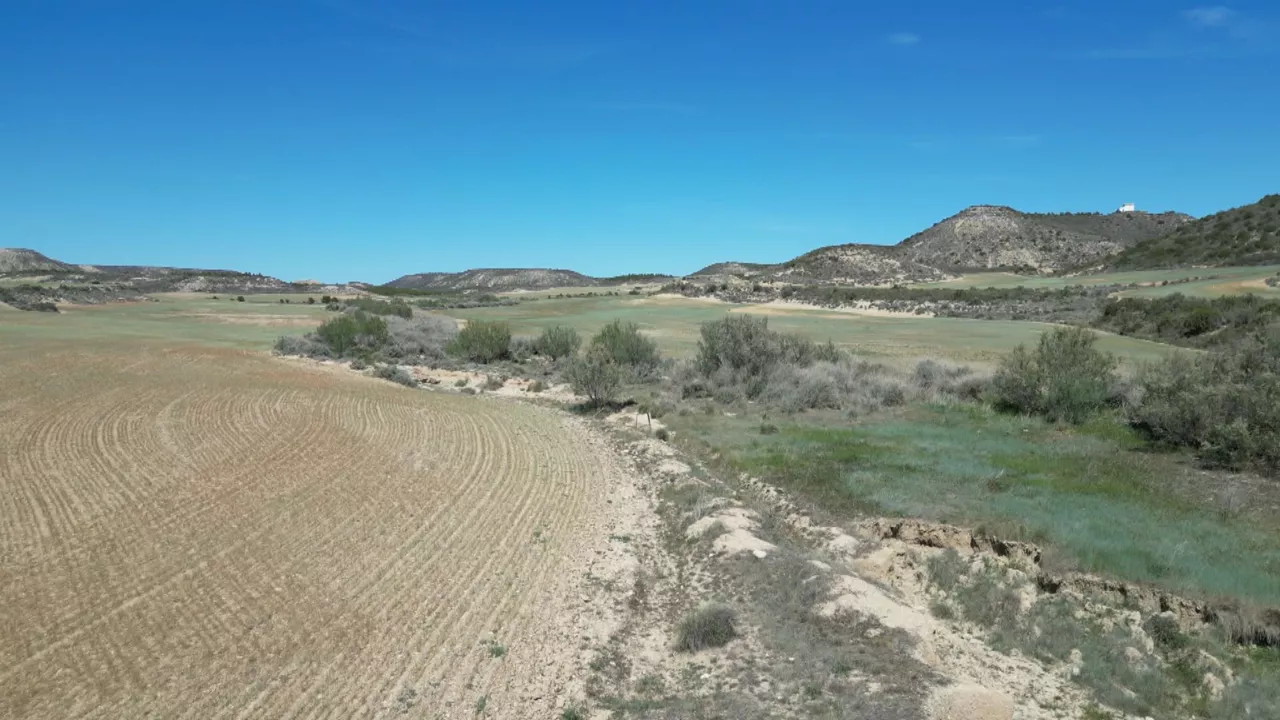 20240222173600_rioja-alavesa_