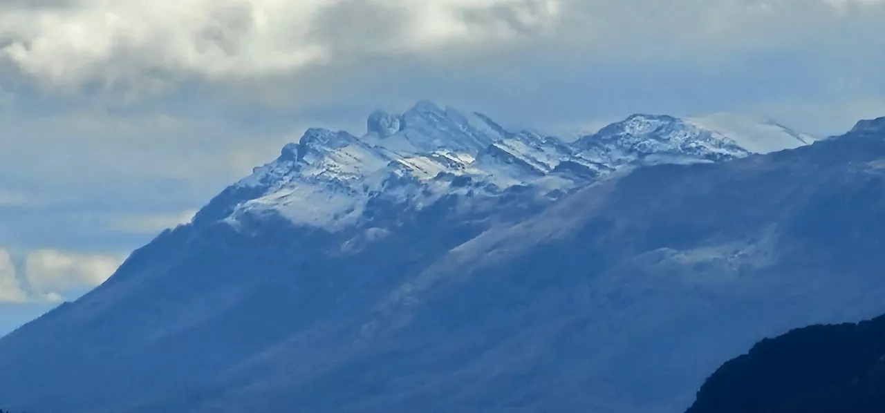 Elurra nieve