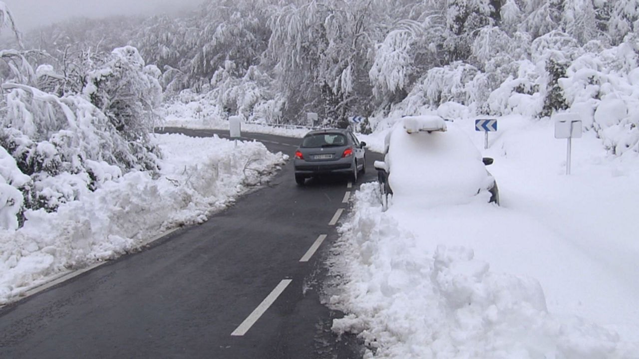 20240227115216_nieve-herrera_