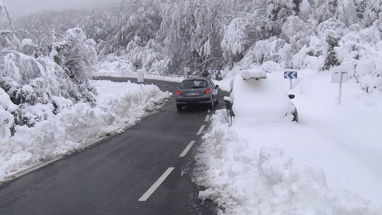 20240227115216_nieve-herrera_