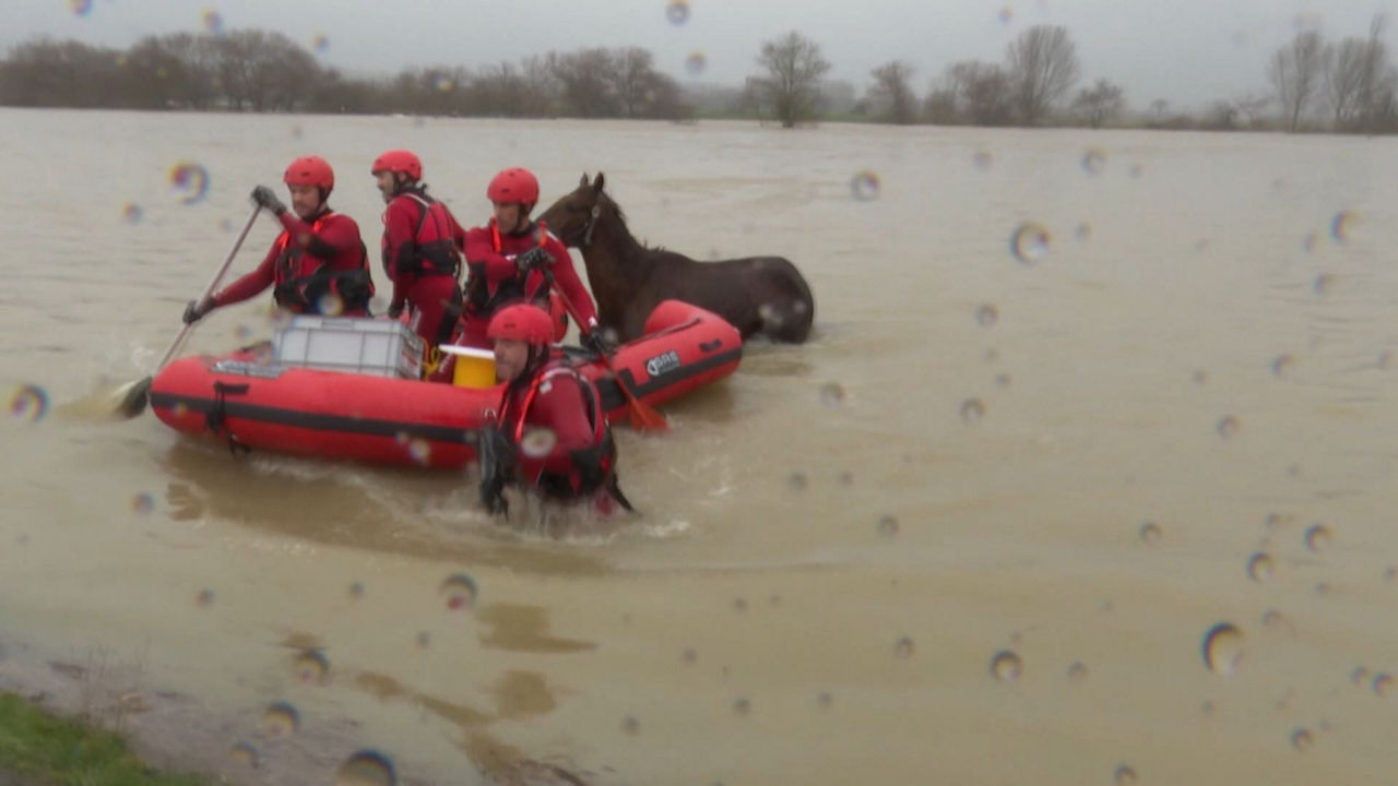 20240227122242_rescate-caballo-jundiz_