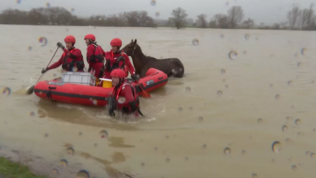 20240227122242_rescate-caballo-jundiz_