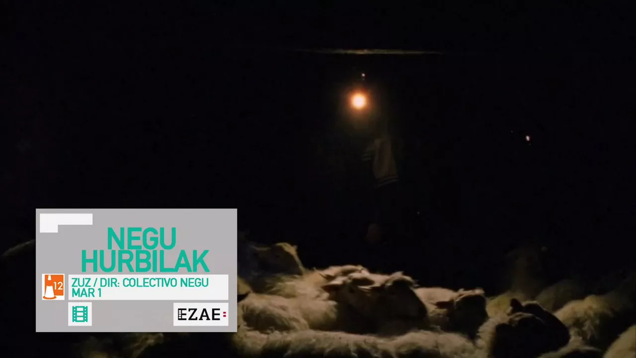20240229124539_negu-hurbilak_