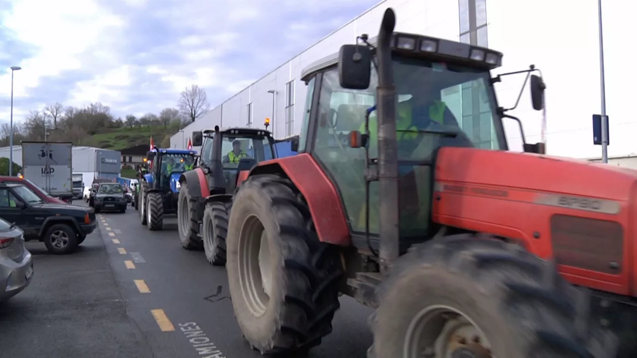 20240301103014_tractorada-errenteria_
