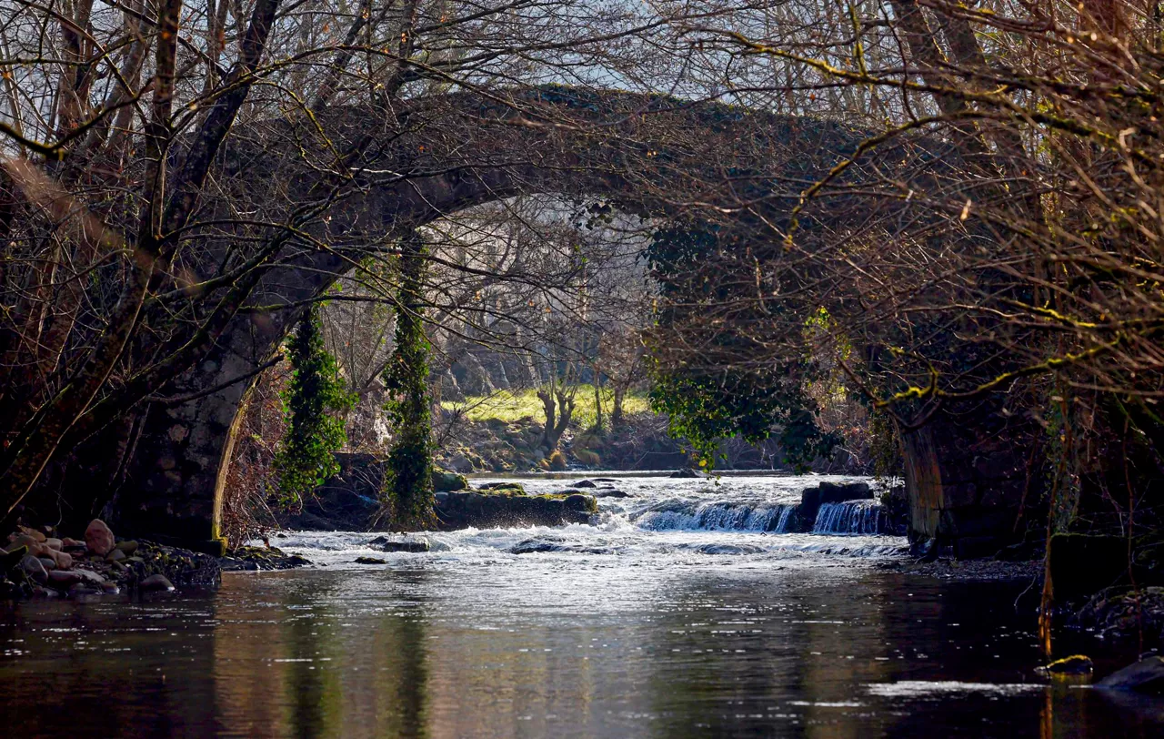 La travesía del salmón por el río Bidasoa