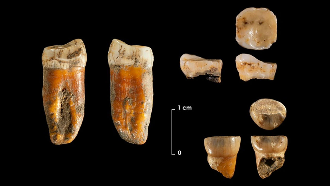 20240319124325_axlor-neanderthal_