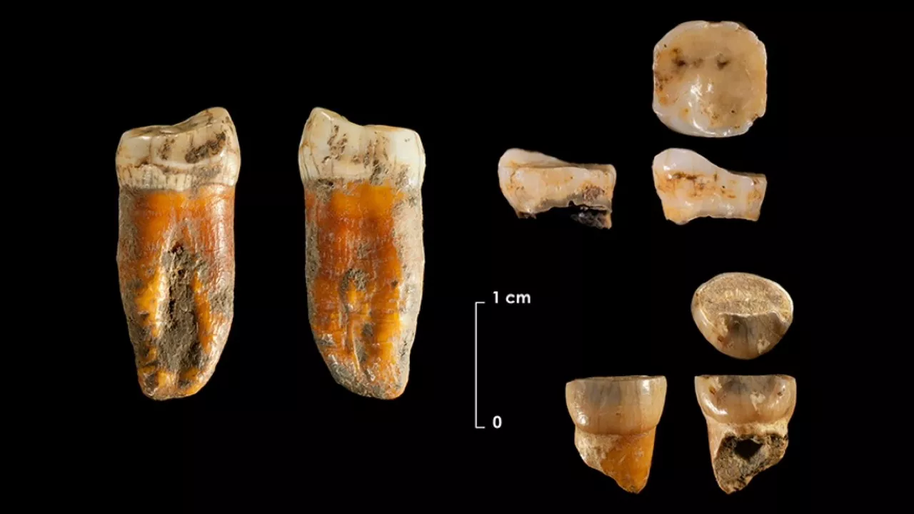 20240319124325_axlor-neanderthal_