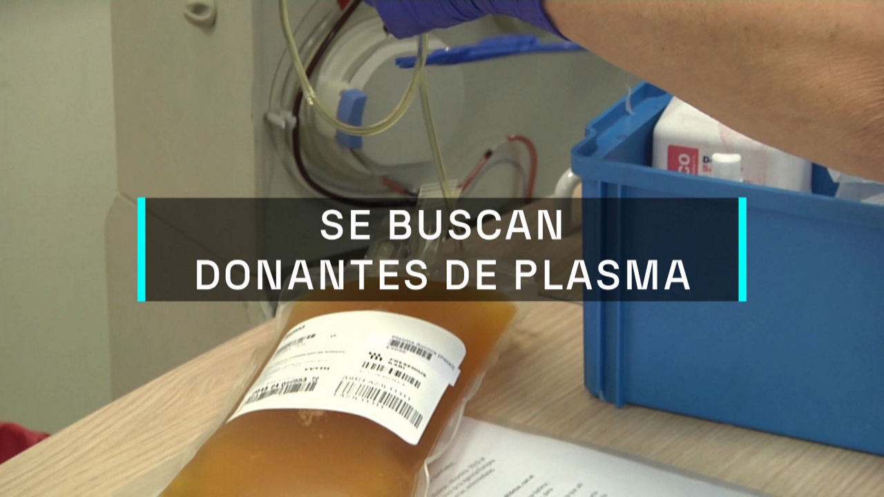 20240322093459_plasmaferesis_