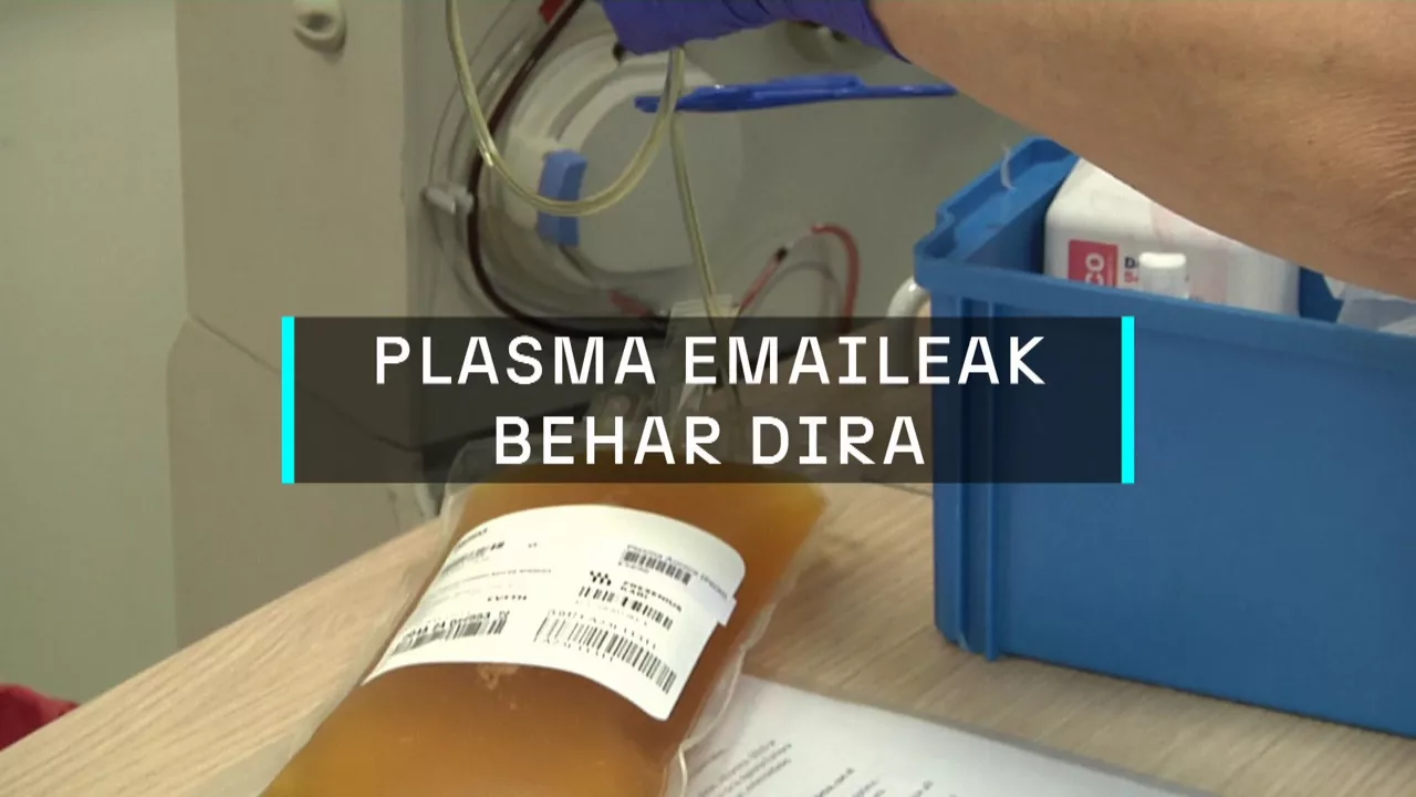 20240322094437_plasmaferesis_
