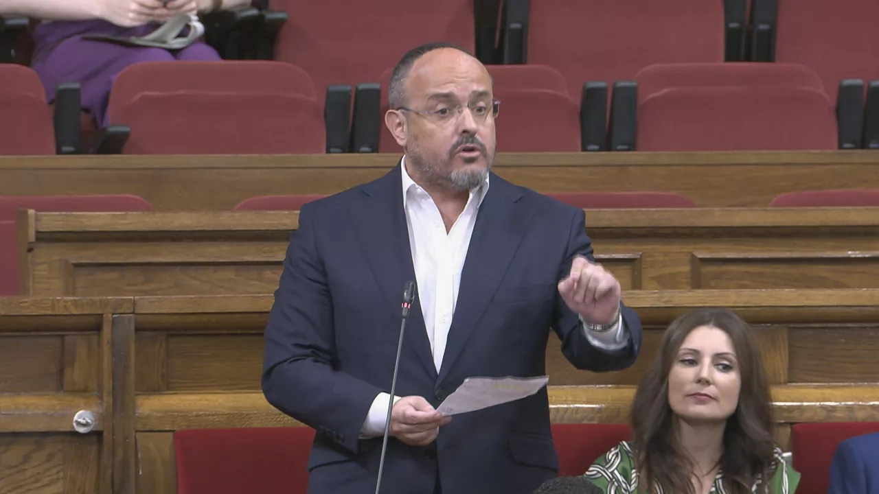 alejandro fernandez pp