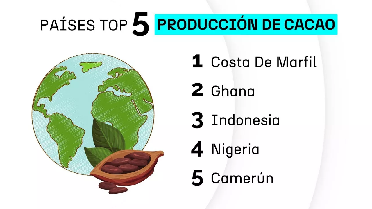 CACAO - 2 - es