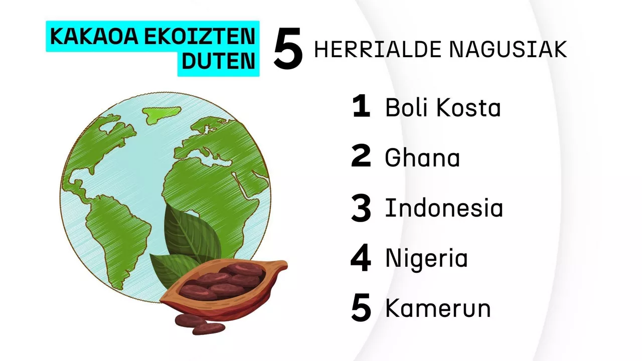 CACAO - 2 - eu