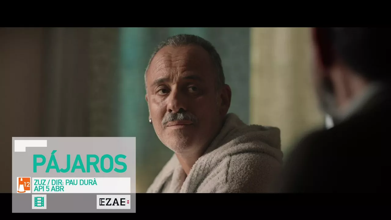 20240403114902_pajaros_