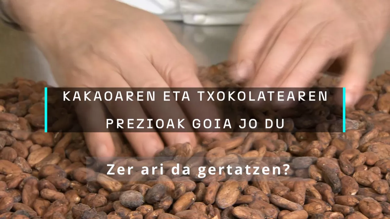 20240403141329_armintzgorrotxategi_