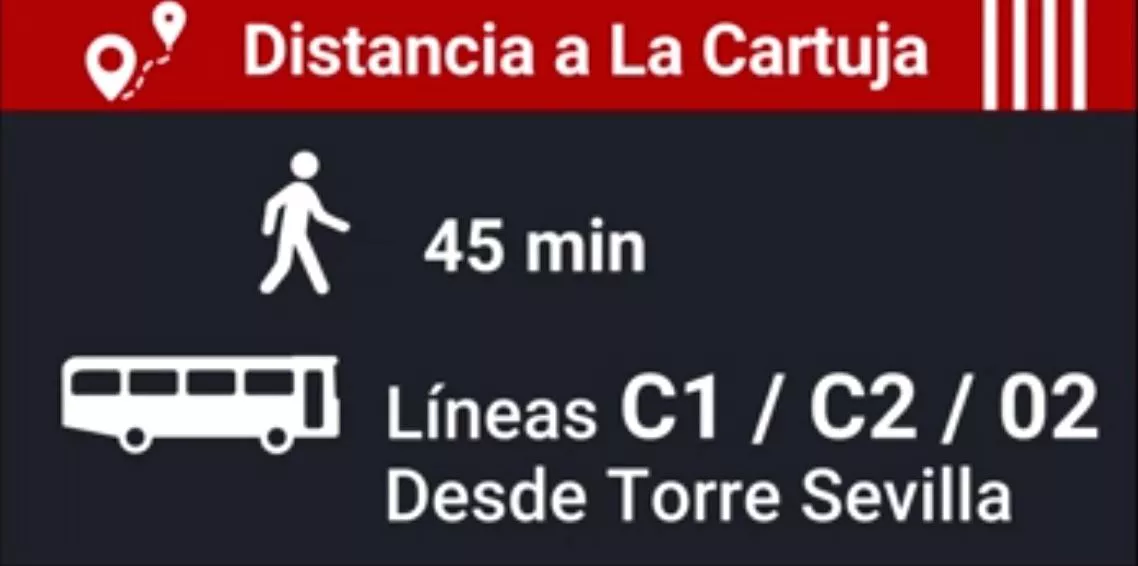 grafiko-cartuja-athletic-hiria