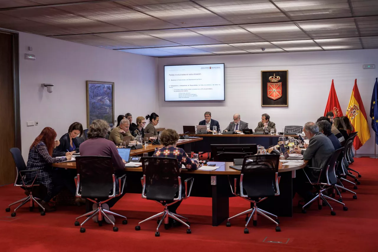 comision-parlamentaria-salud-Navarra-efe