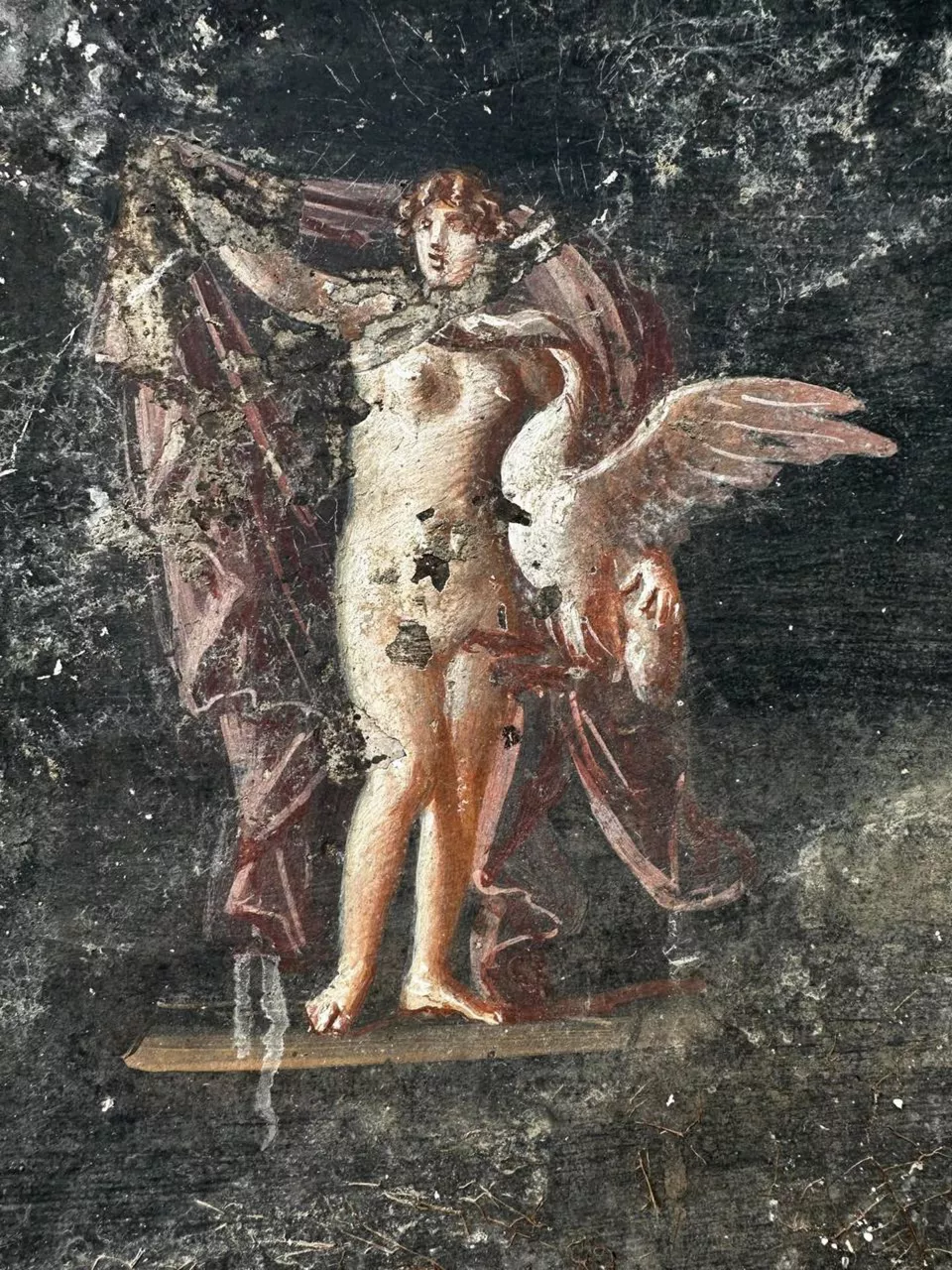 Pompeya Troya EFE3