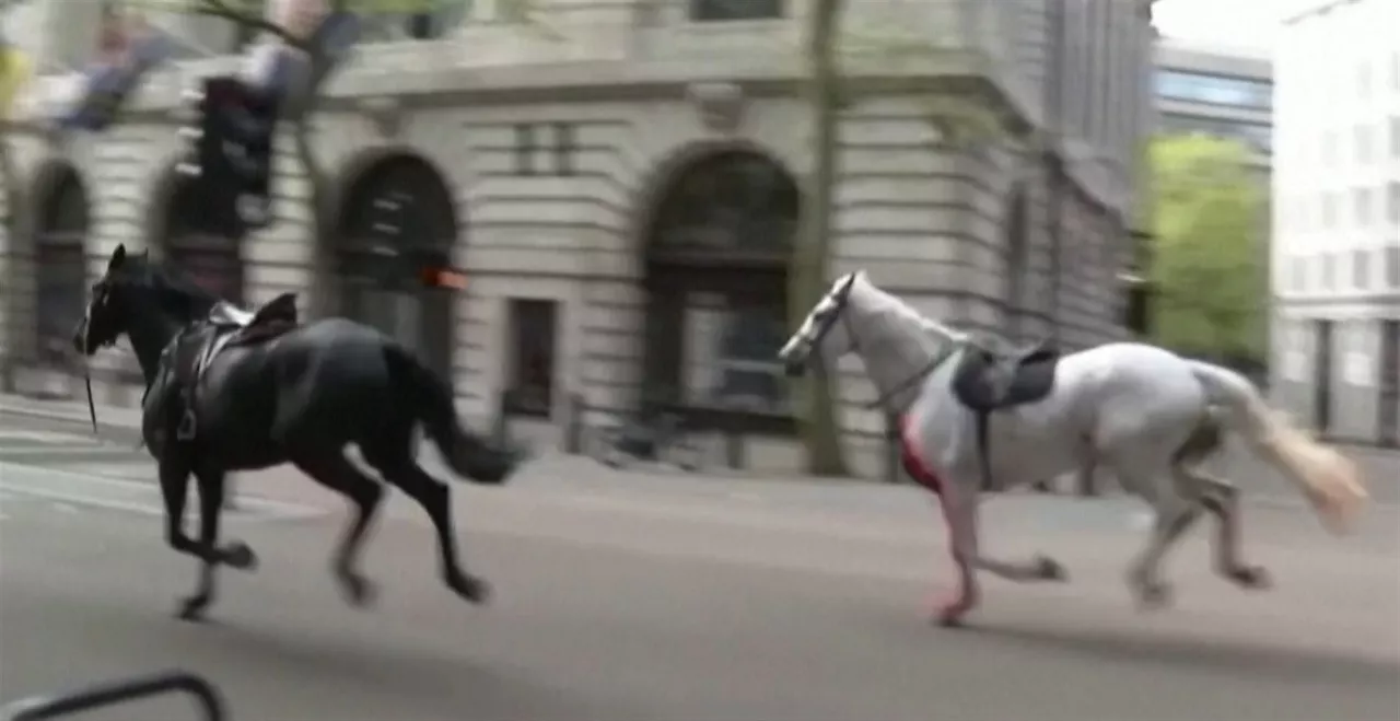 zaldiak londres reuters