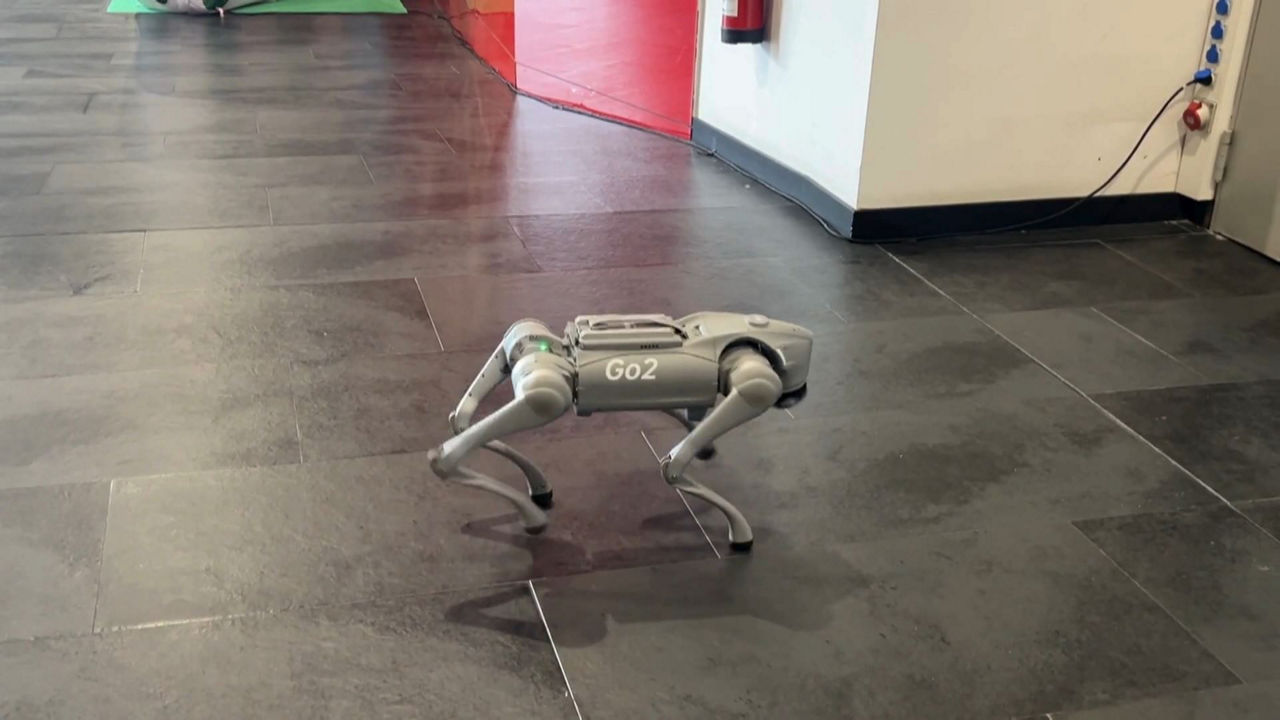 20240503190040_txakur-robota_
