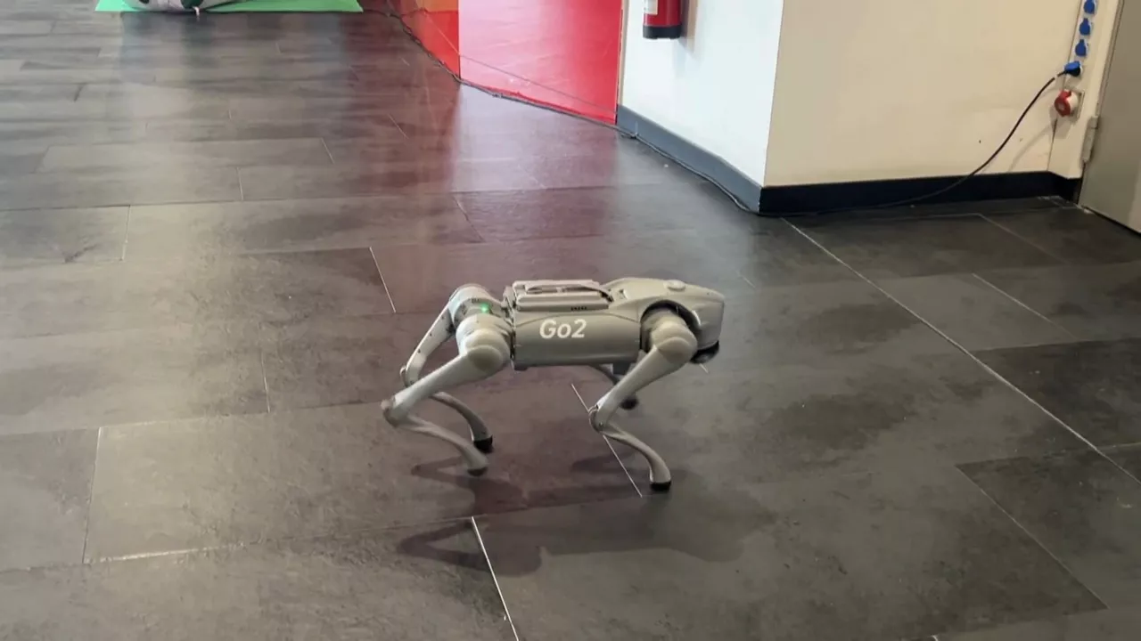 20240503190040_txakur-robota_