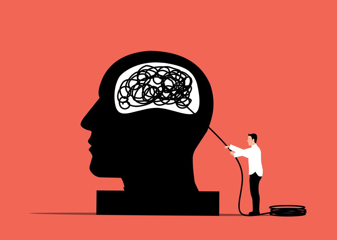 Cerebro - Pixabay