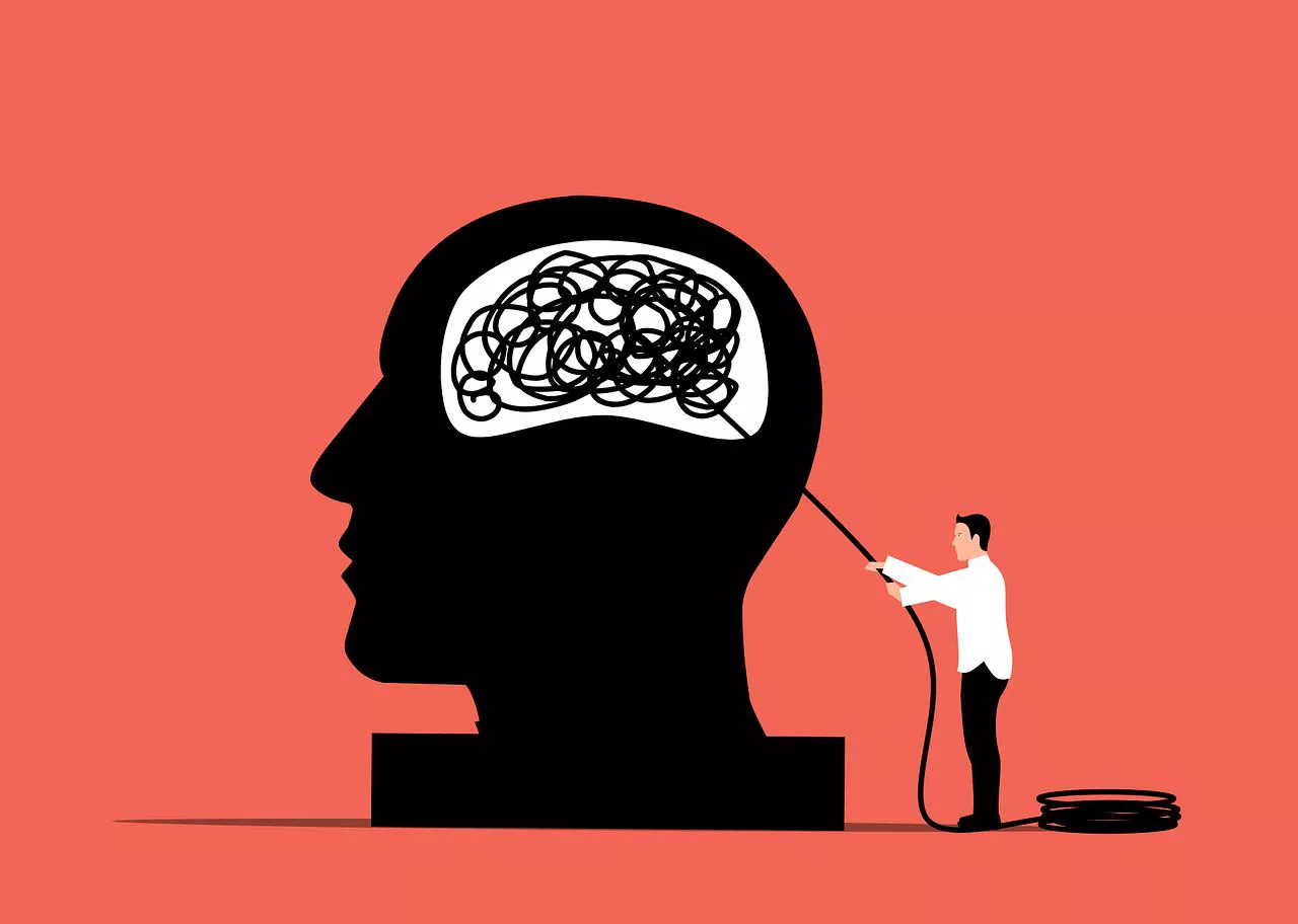 Cerebro - Pixabay