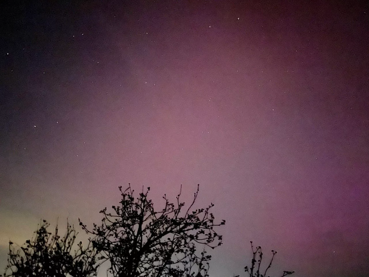 hernani AURORA BOREALA