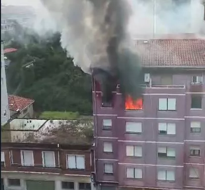 bermeo-sutea