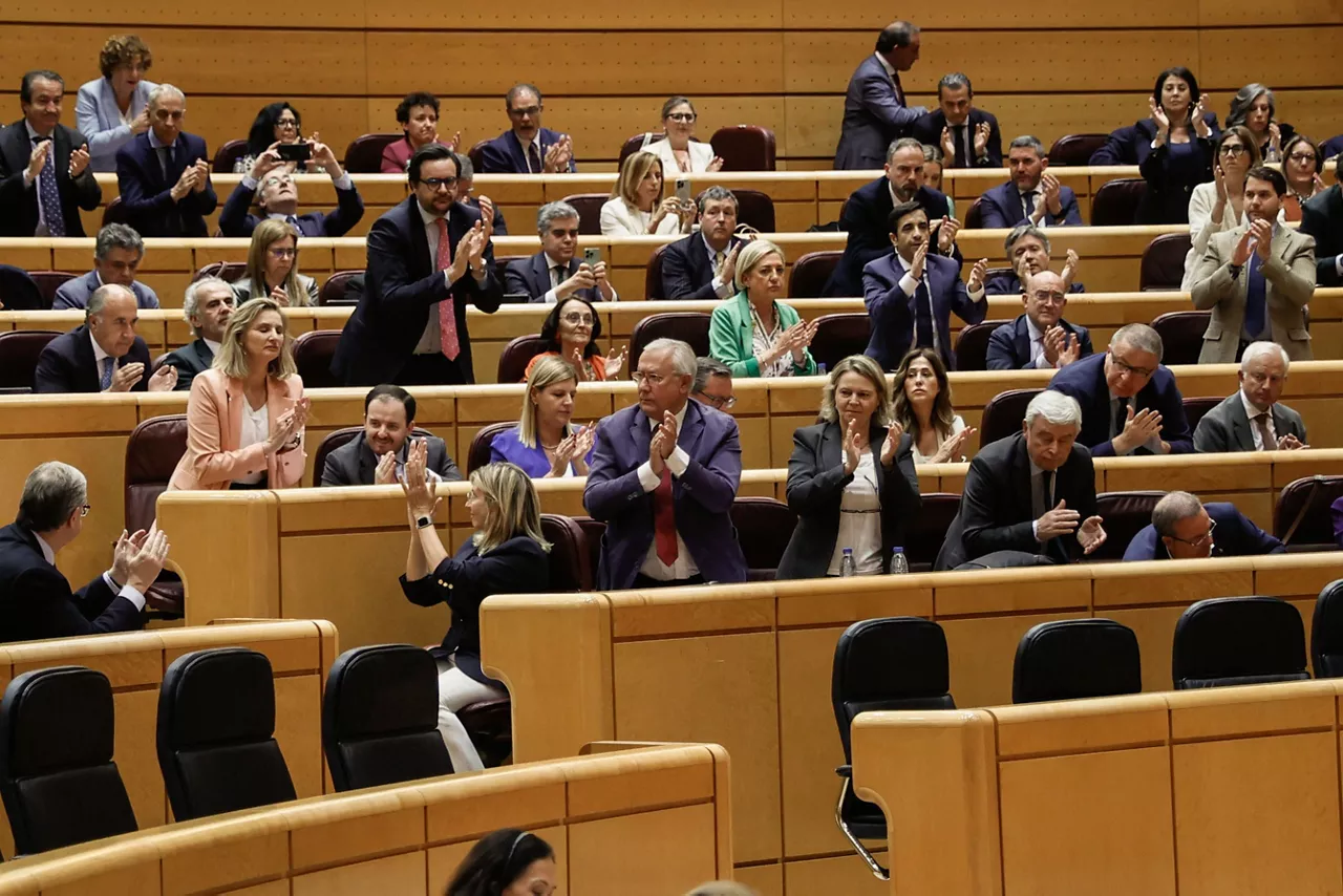 SENADO_LEY_AMNISTIA_LEGEA_SENATUA