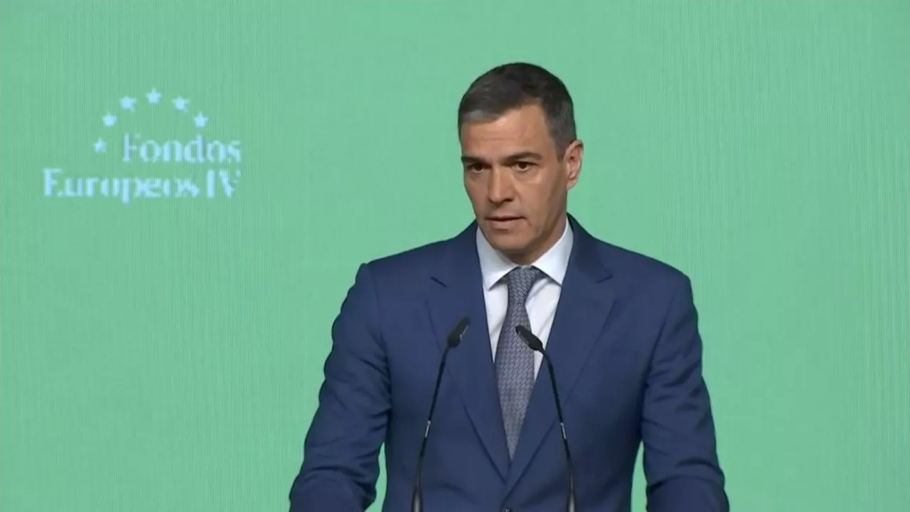 20240516132847_pedro-sanchez_