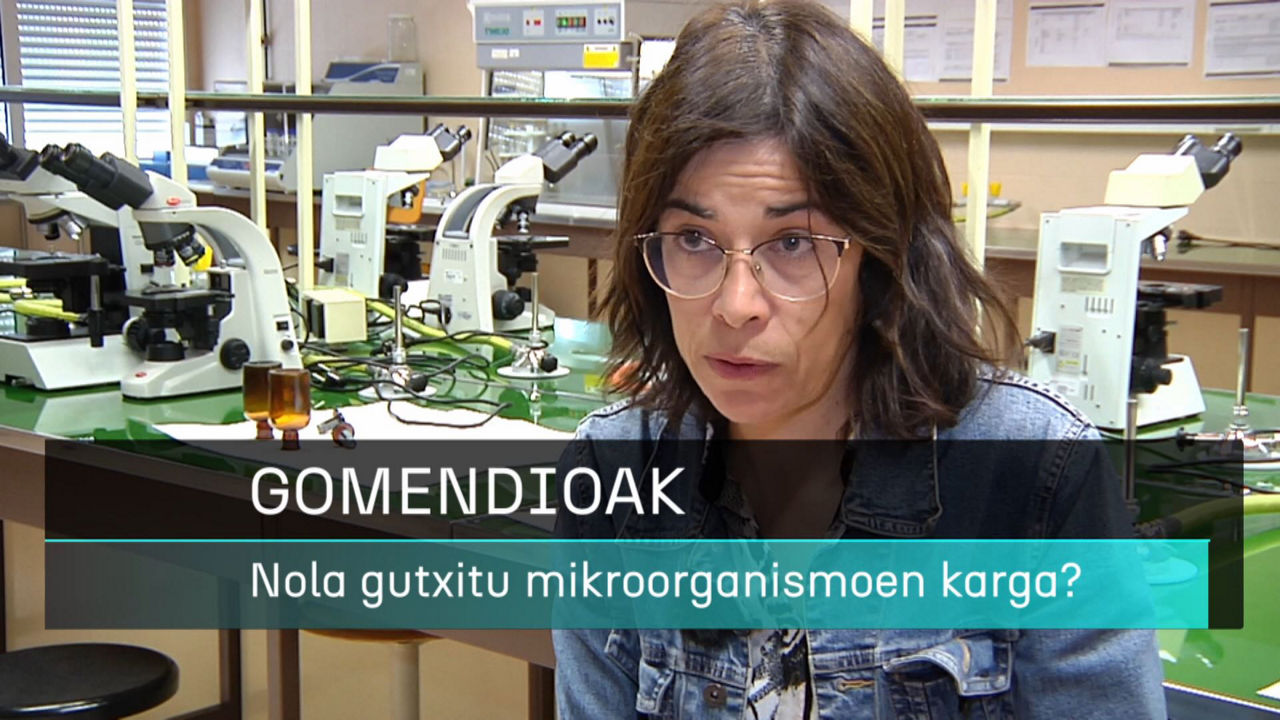 20240516155600_mikroorganismoak-gomendioak-irati-martinez-malaxetxebarria_