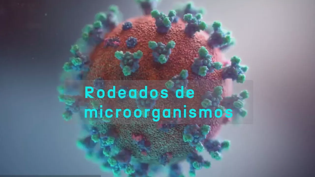 rodeados de microorganismos