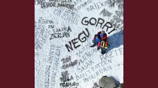 J. Martina Negu Gorri