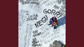 J. Martina Negu Gorri