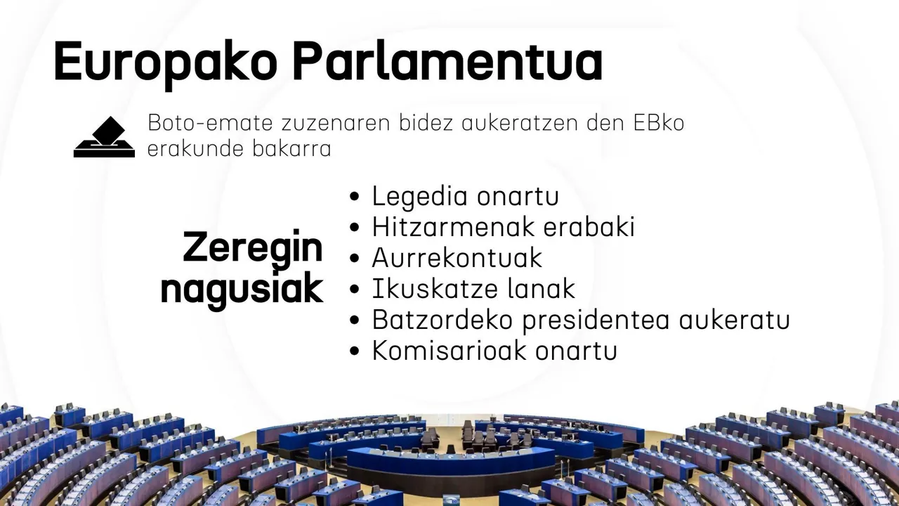 Europako Parlamentuaren zereginak