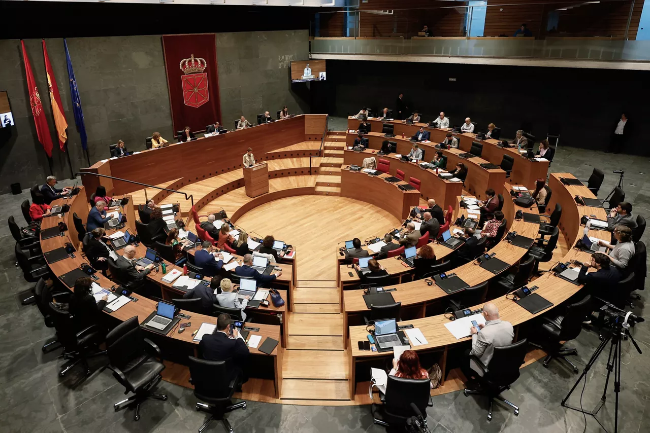 foru parlamentua nafarroa parlamento-foral-navarra-efe