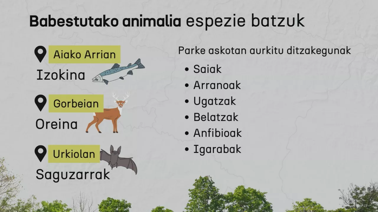 EHko parkeetan babestutako espezie batzuk