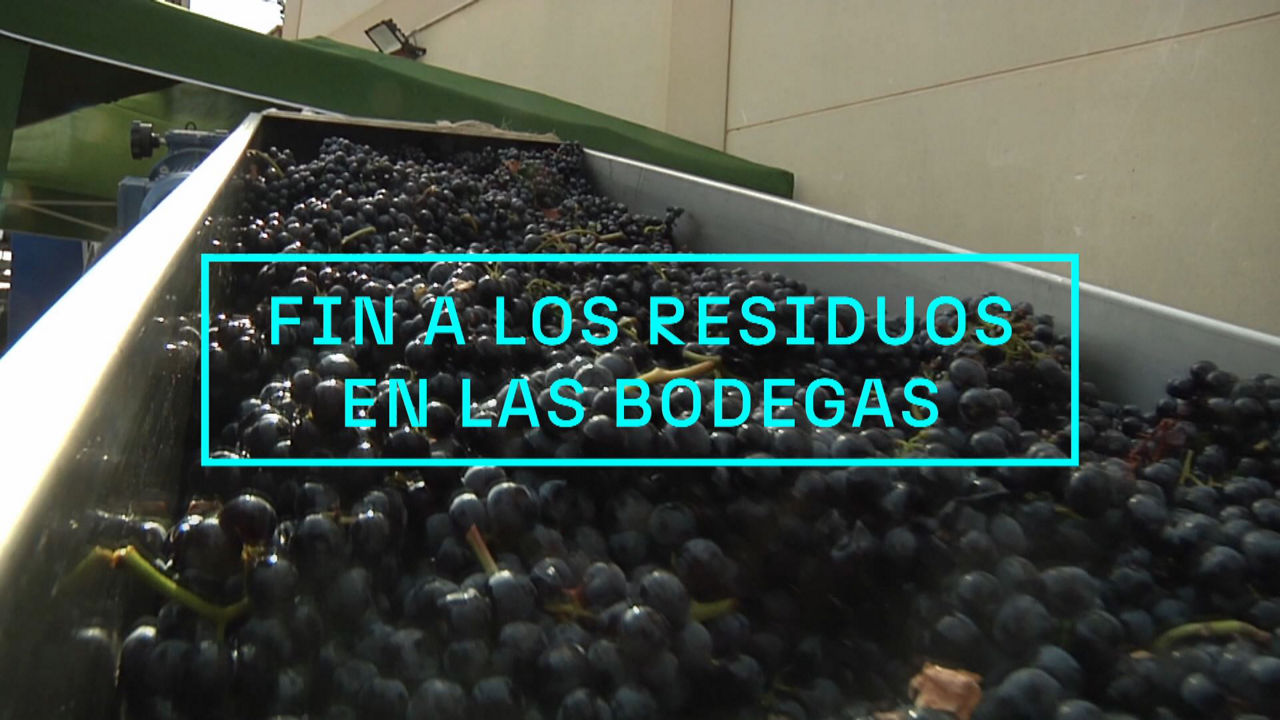20240523144240_zambrana-bodega_