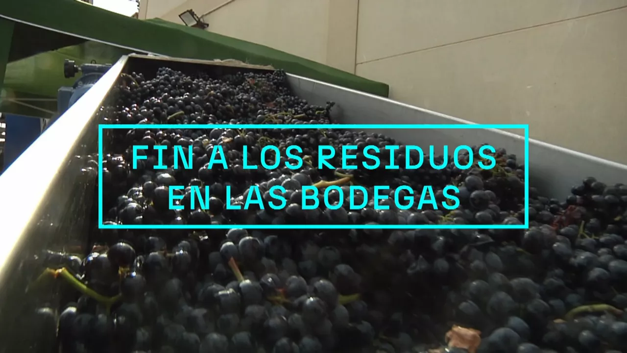 20240523144240_zambrana-bodega_