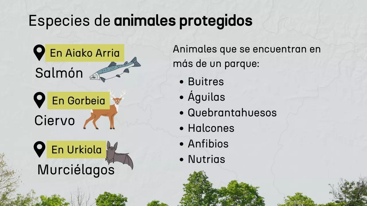 Especies de animales protegidos en Euskal Herria