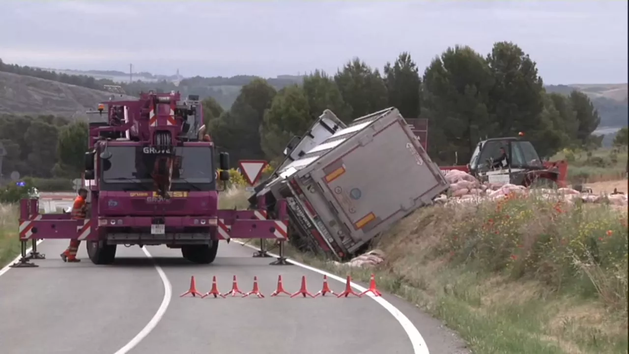 20240527110638_lodosa-accidente-cerdos_