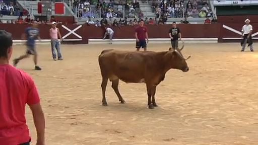 Vaquillas